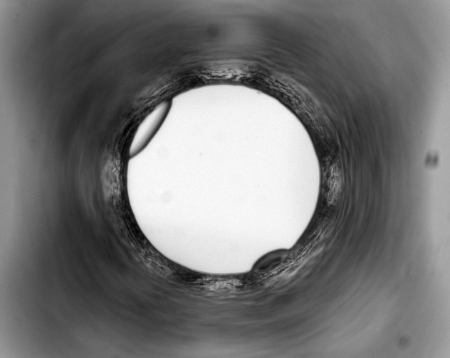 X0000103401394200810100923