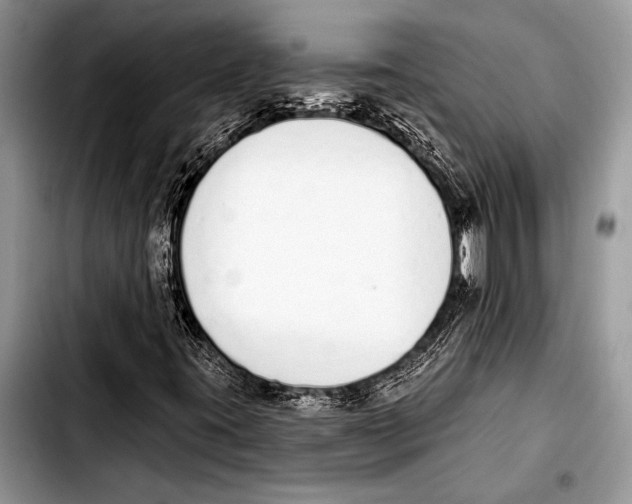 X0000103401395200810100923