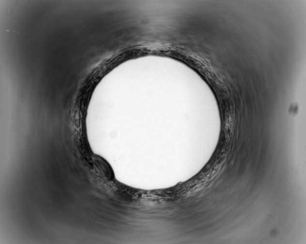 X0000103401398200810100923