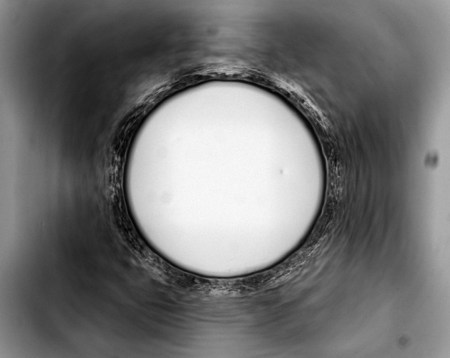 X0000103401399200810100923