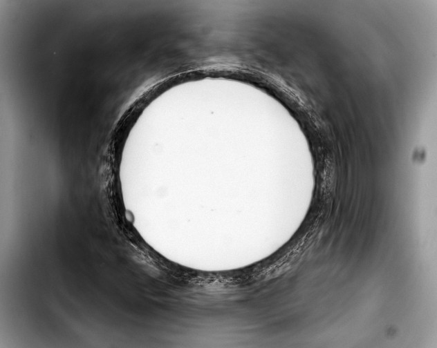 X0000103401400200810100923