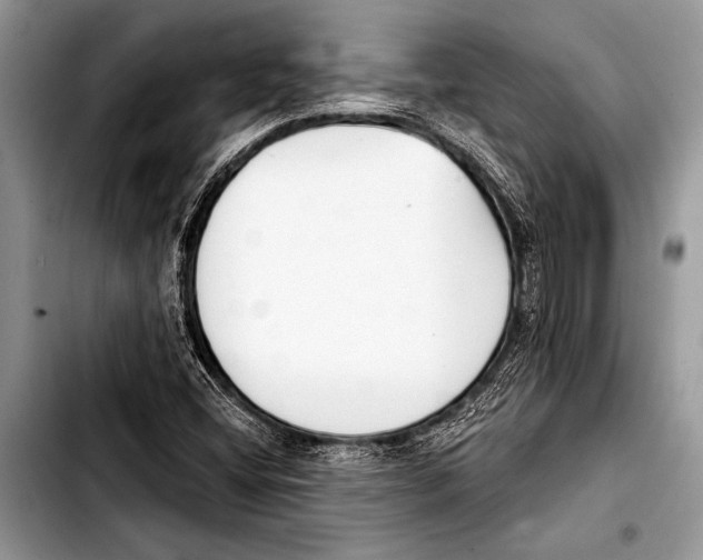 X0000103401404200810100923