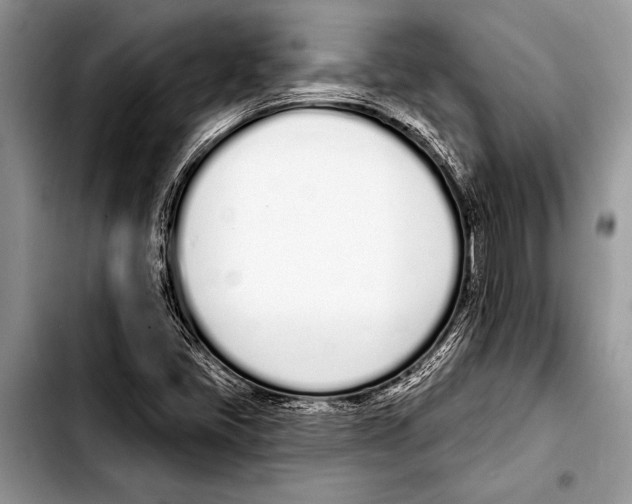 X0000103401405200810100923