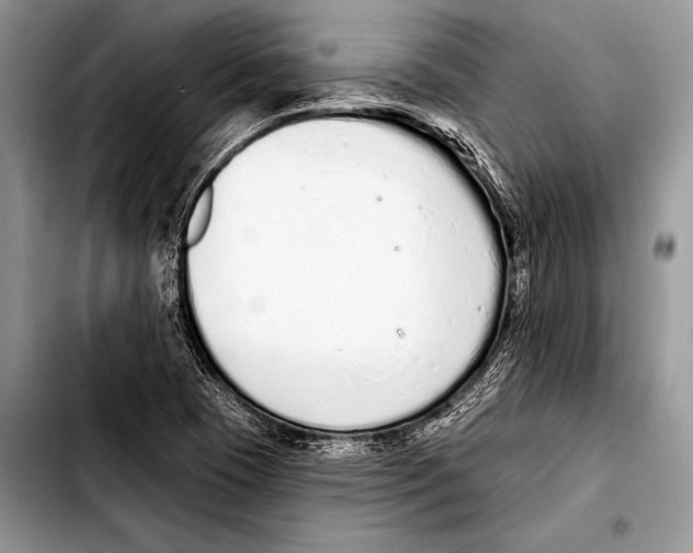 X0000103401409200810100923