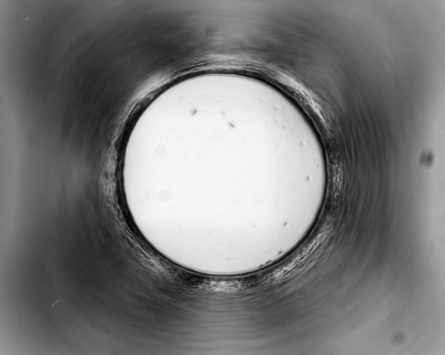 X0000103401411200810100923