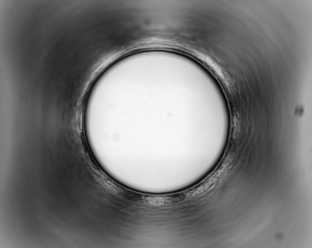 X0000103401413200810100923