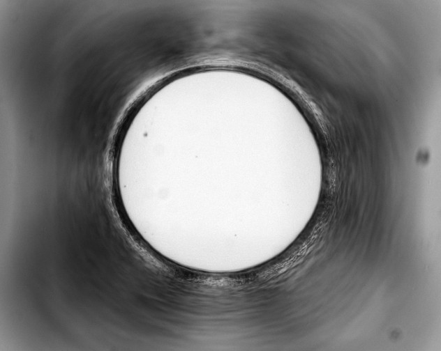 X0000103401416200810100923