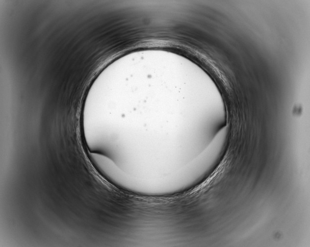 X0000103401417200810100923