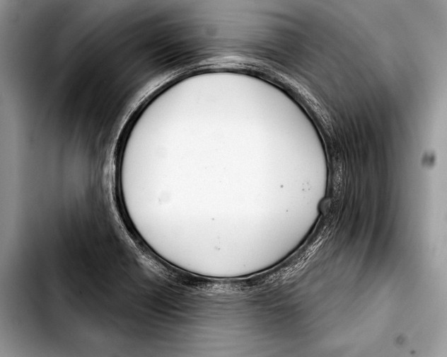 X0000103401418200810100923