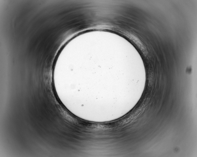 X0000103401420200810100923