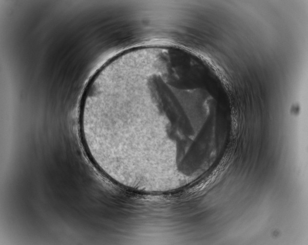 X0000103401422200810100923