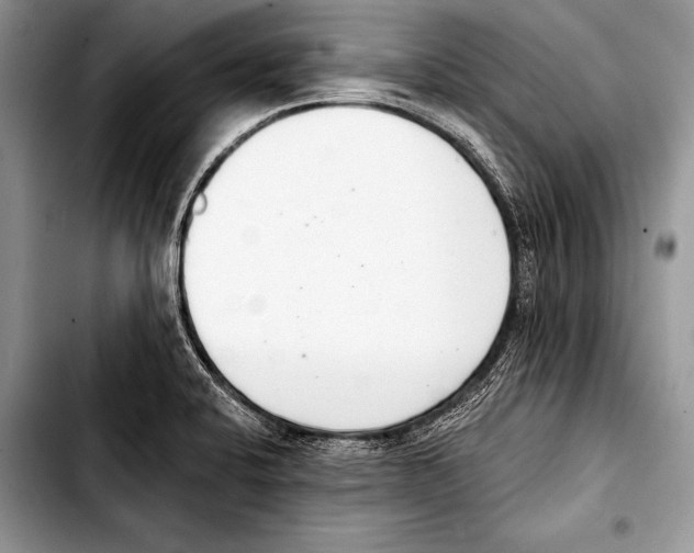 X0000103401424200810100923