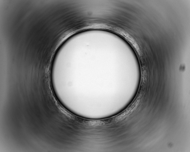 X0000103401425200810100923