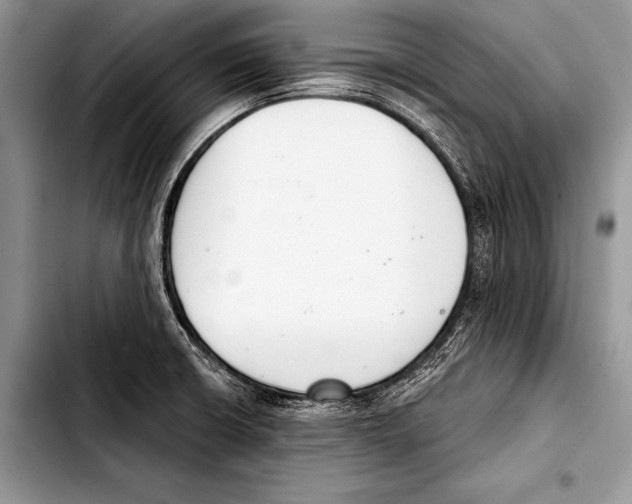 X0000103401426200810100923