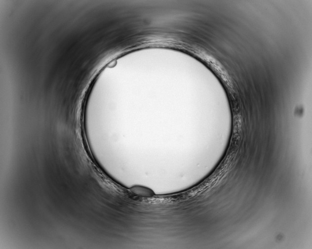 X0000103401427200810100923