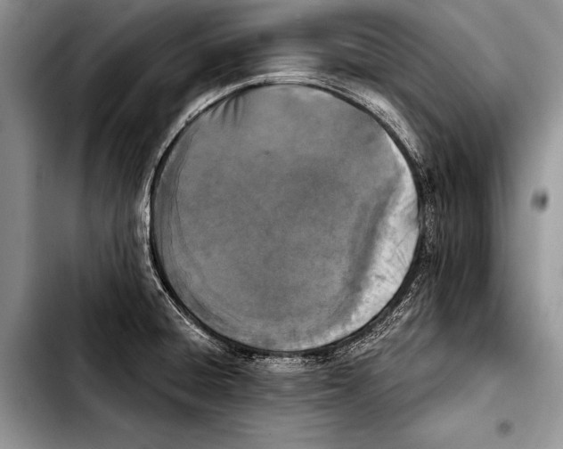 X0000103401428200810100923