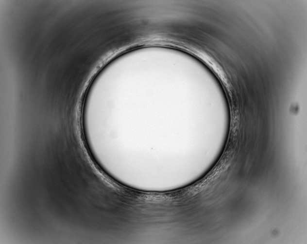 X0000103401429200810100923