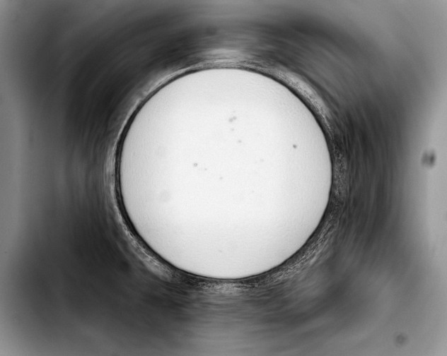 X0000103401431200810100923