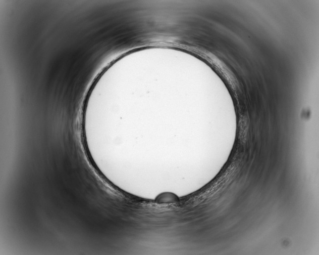 X0000103401432200810100923