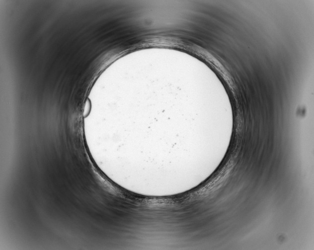 X0000103401433200810100923