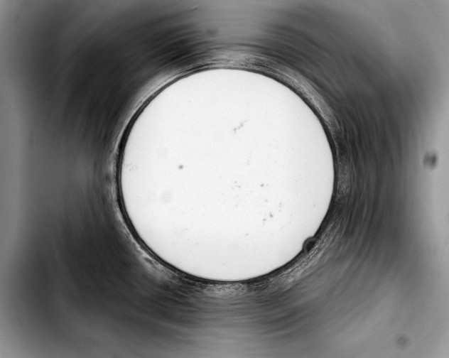 X0000103401434200810100923