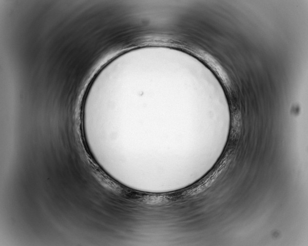 X0000103401435200810100923