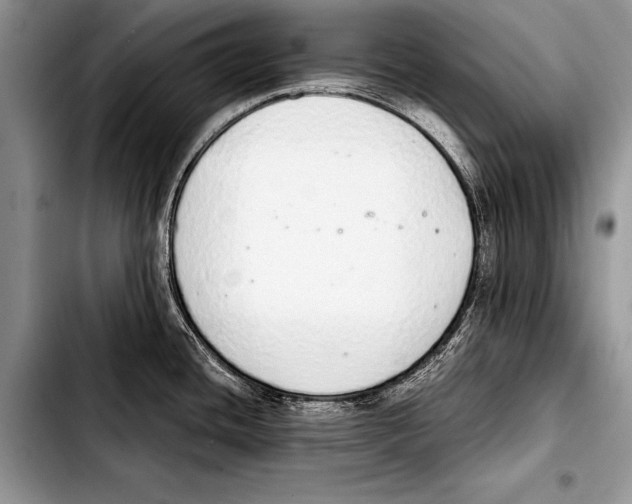 X0000103401436200810100923