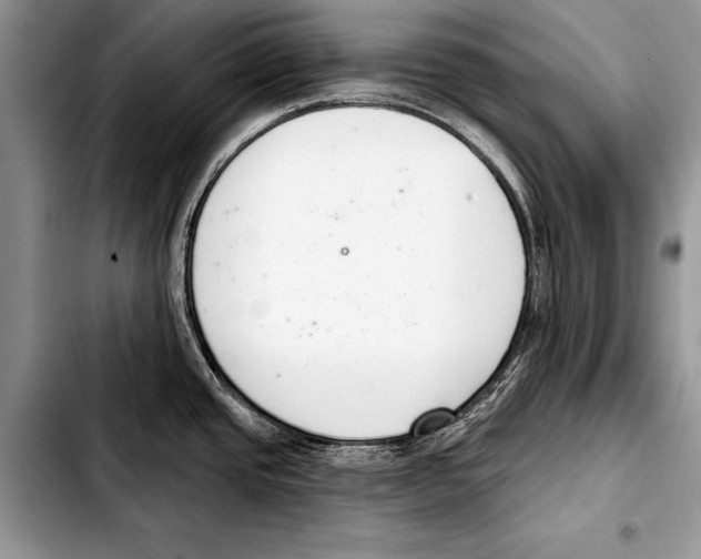 X0000103401437200810100923