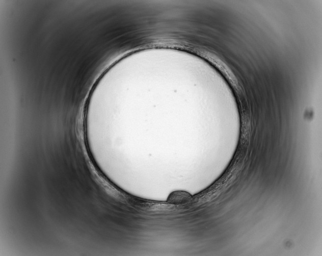 X0000103401439200810100923