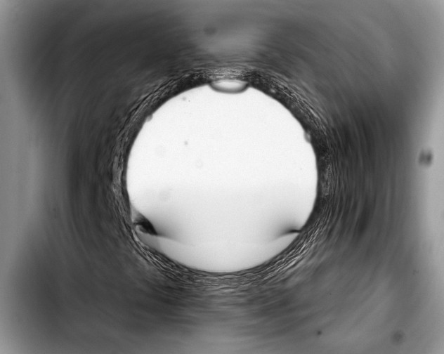 X0000103401441200810100923