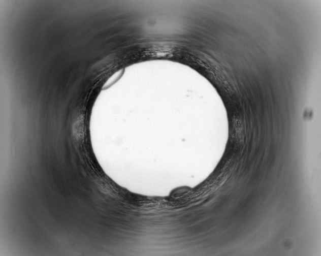 X0000103401442200810100923