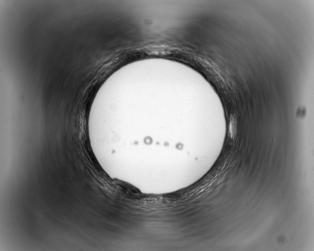 X0000103401444200810100923