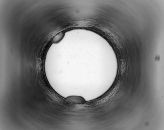 X0000103401449200810100923