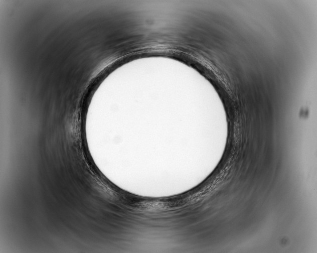 X0000103401450200810100923