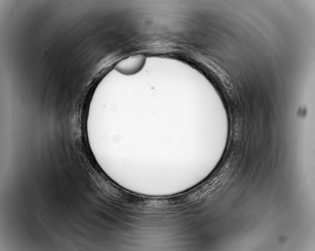 X0000103401451200810100923