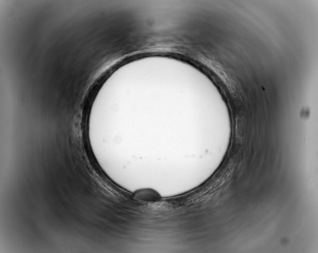 X0000103401452200810100923