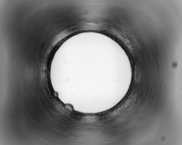 X0000103401453200810100923