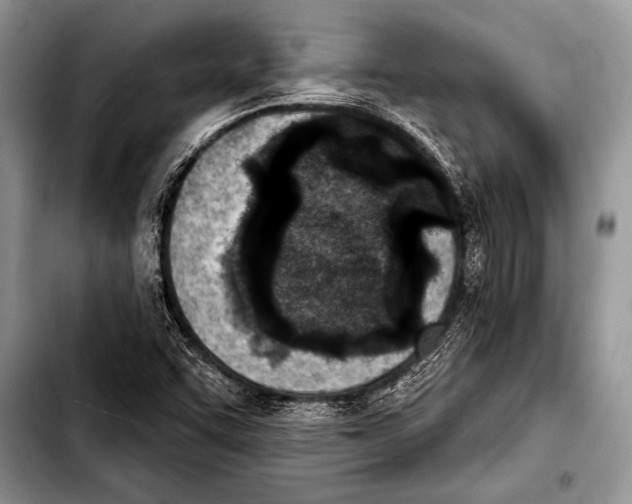 X0000103401455200810100923