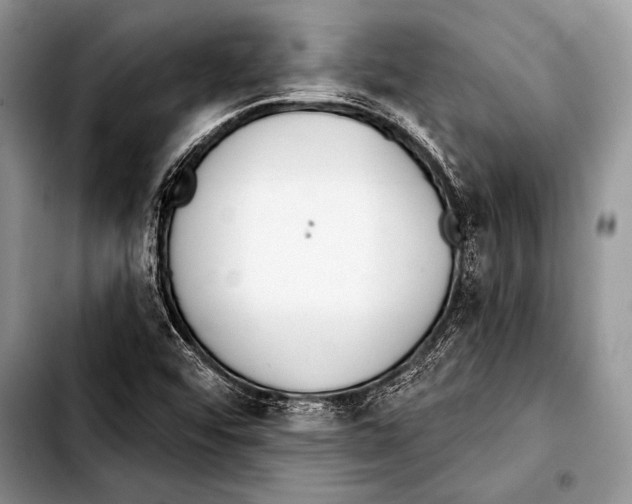 X0000103401456200810100923