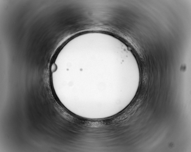 X0000103401460200810100923