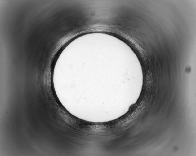 X0000103401461200810100923