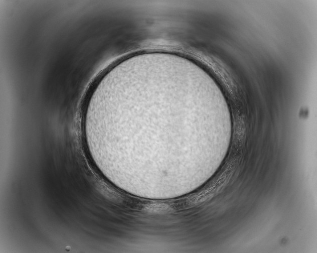 X0000103401462200810100923