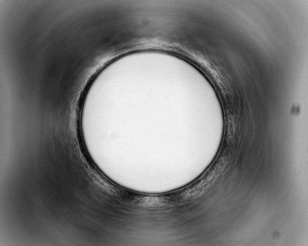 X0000103401463200810100923