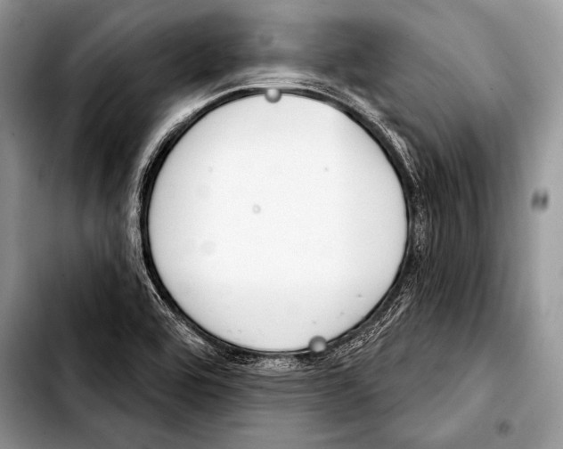 X0000103401464200810100923