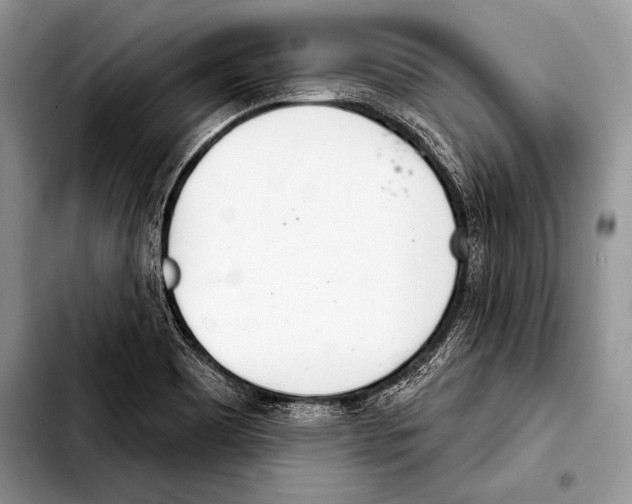 X0000103401465200810100923