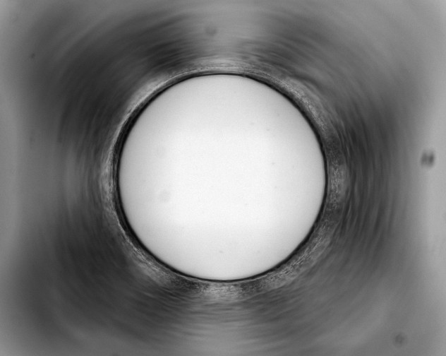 X0000103401466200810100922