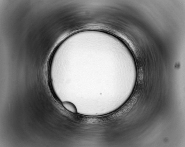 X0000103401467200810100922