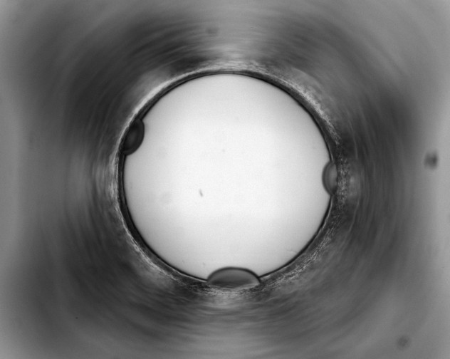 X0000103401468200810100922