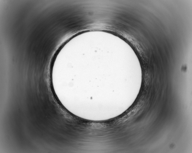 X0000103401469200810100922