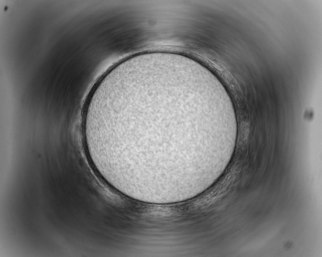 X0000103401470200810100922